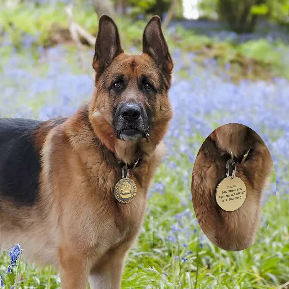 BRASS DOG TAGS MILITARY PERSONALIZED CUSTOM PET NAME ID ENGRAVED FOR COLLAR