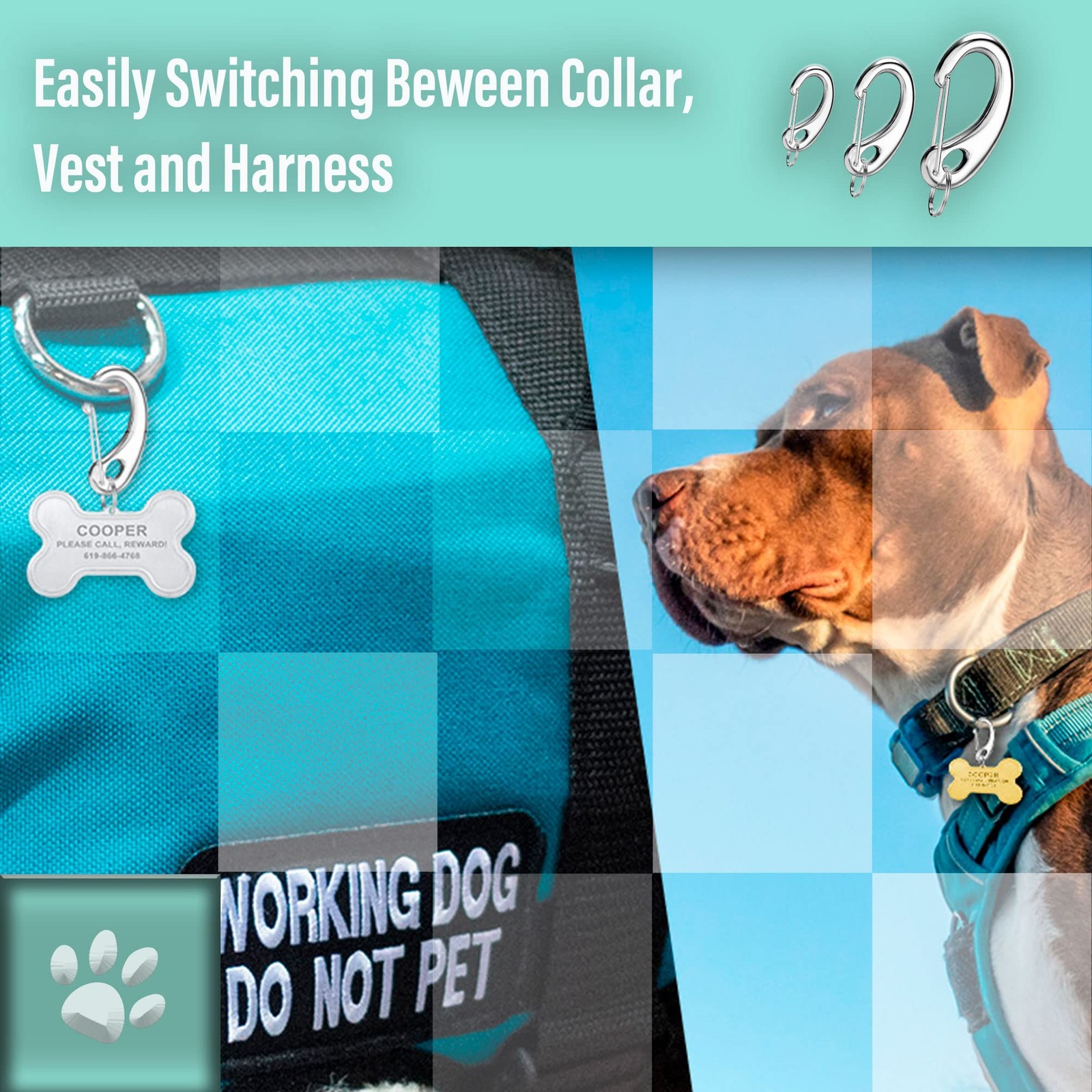 4 PCS Stainless Steel Dog Tag Quick Clip Combo Standard Pet Tag Holder
