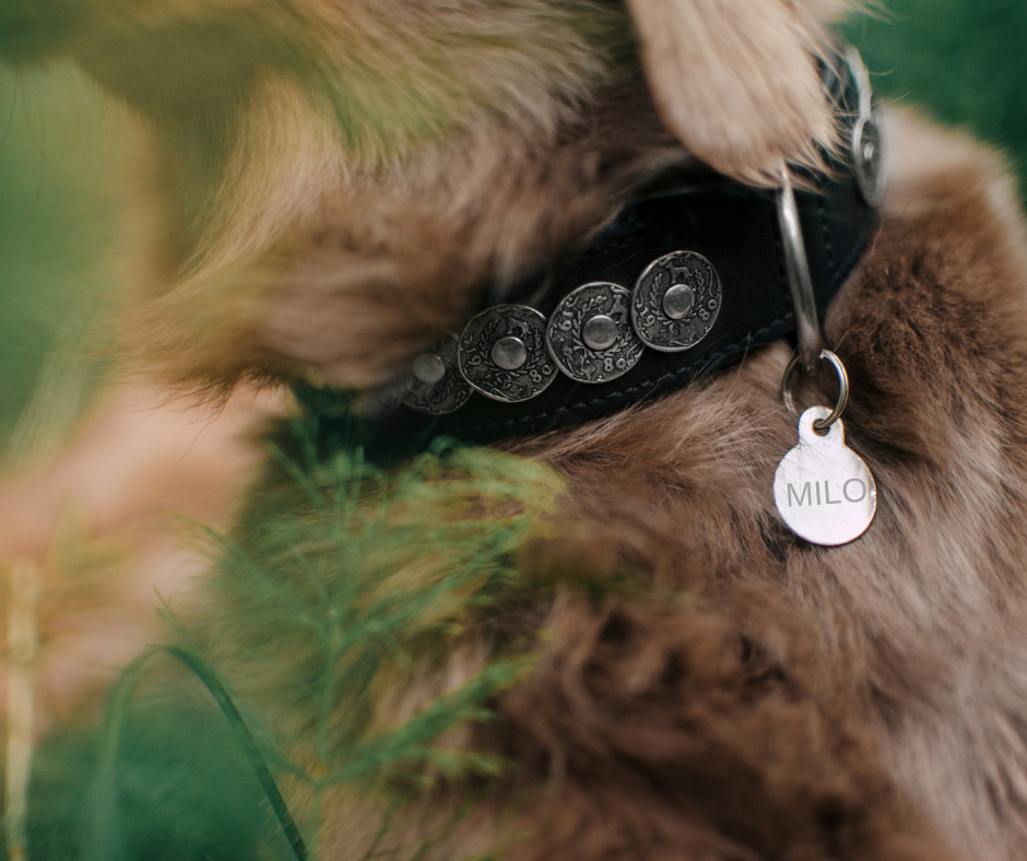 LASER ENGRAVED PERSONALIZED CIRCLE PET TAG ID DOG CAT NAME TAGS DOUBLE SIDE
