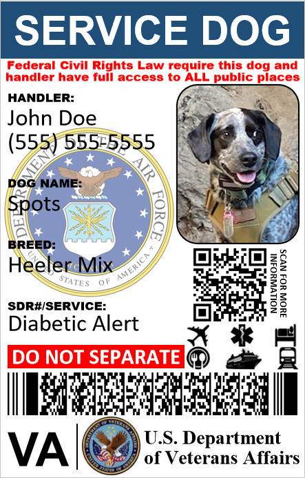 HOLOGRAPHIC VETERAN MILITARY SERVICE DOG ID 1 SIDE ONLY PHYSICAL & DIGITAL
