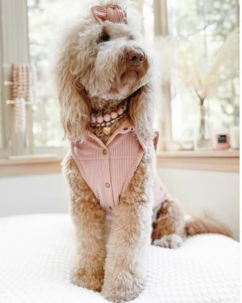 NWT FURB POLISHED PUP BLUSH BEADED DOG NECKLACE