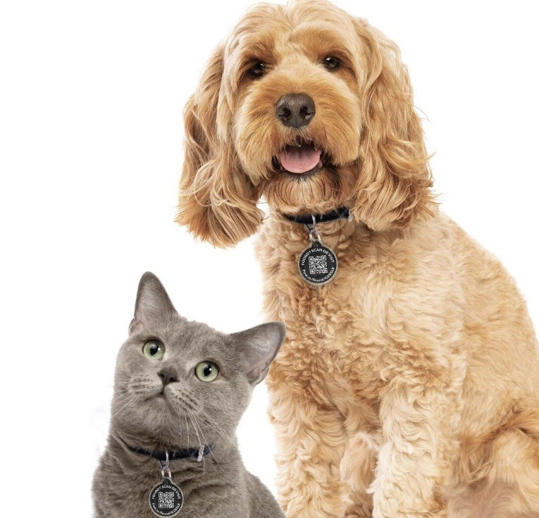 PawscoutQR The Smart Pet Tag Finder for Dogs & Cats Connects To Your Phone