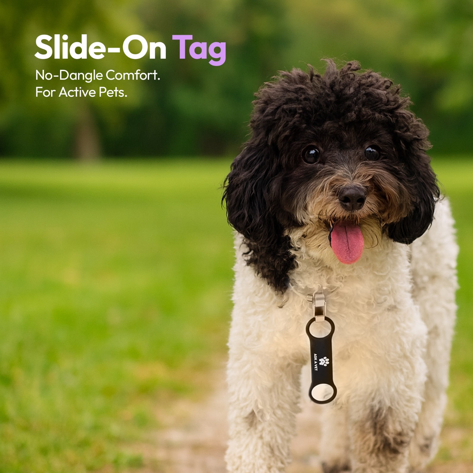 Ask A Vet Pet Slide on ID Tag QR NFC Waterproof Silicone Dog Cat