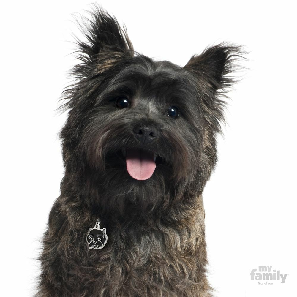 Cairn Terrier Dog ID Tag (55CAIRN) – Engraved FREE – Personalised – Charm