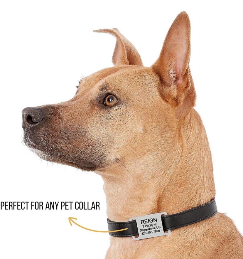 Personalized Slide on dog Engraved martingale gold Dog id Tags Custom