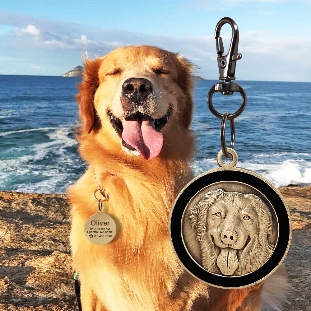 Customized 3D Brass Dog Tags Personalized Pet Puppy ID Name Number Engraved Free