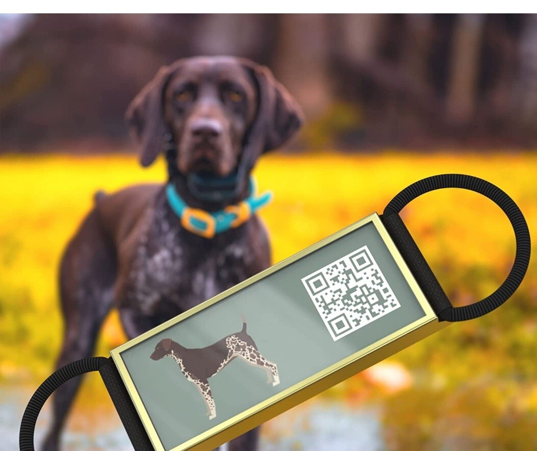 DISONTAG QR Code Dog Tags Personalized for Pets German Short-haired Pointer NEW