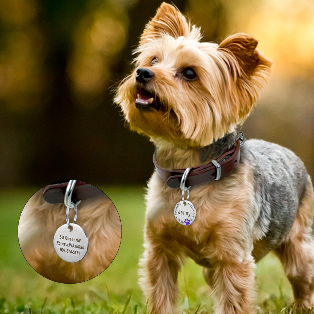 Dog Tags Personalized ID Name Engraved Pet Cat Dog Bling Rhinestone Cute Paw Tag