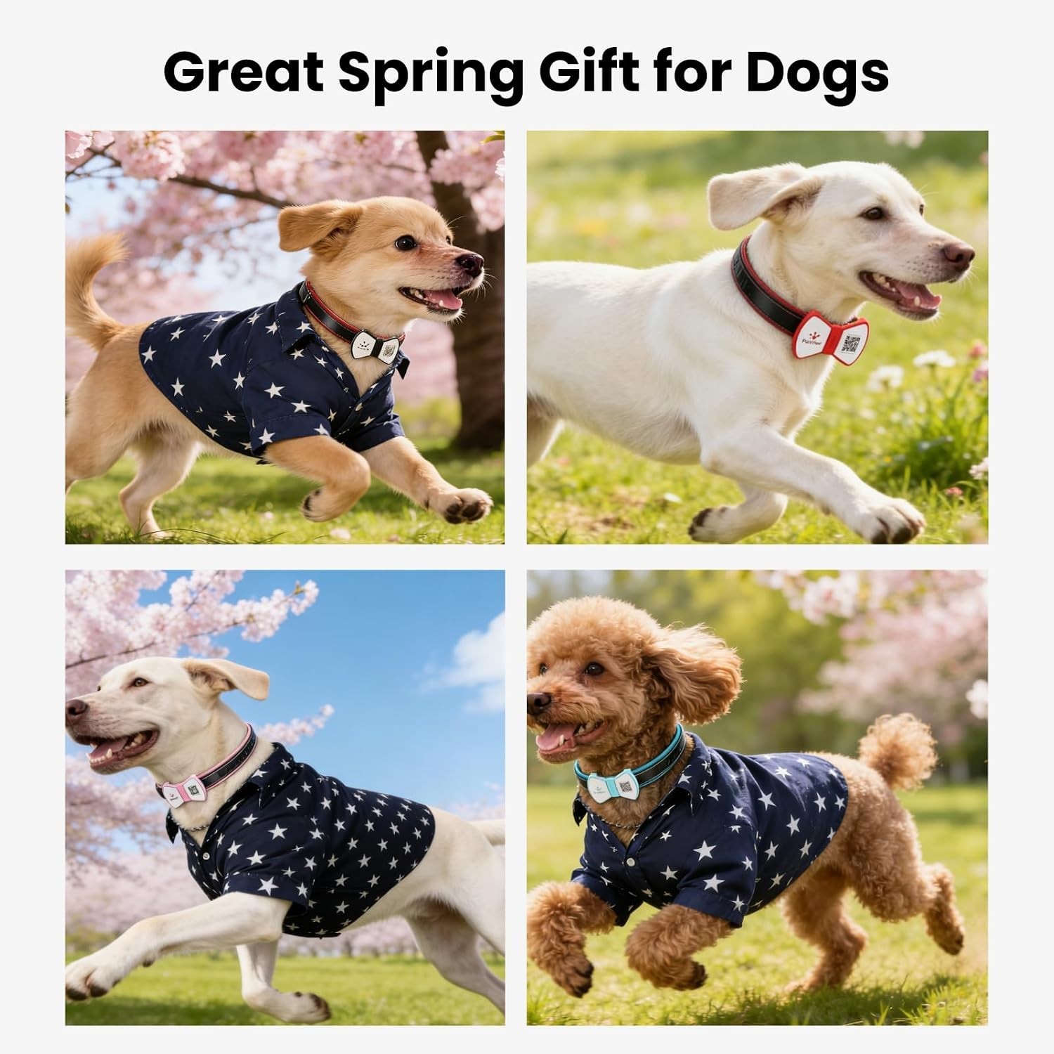 Smart Pet ID Tag, QR Code Dog Tag, No Subscription Fee, Waterproof Silent Sil…