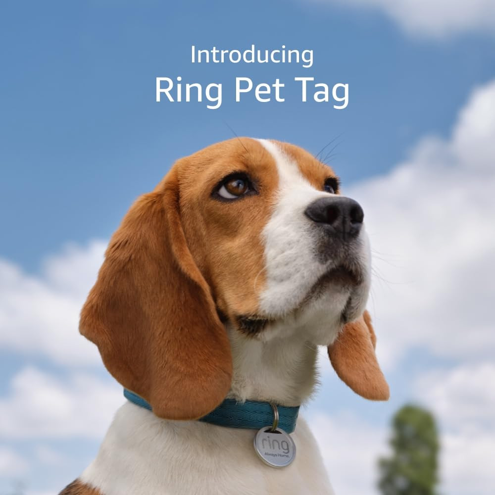 Pet Tag | Easy-To-Use Tag with QR Code | Real-Time Scan Alerts | Shareable Pet P