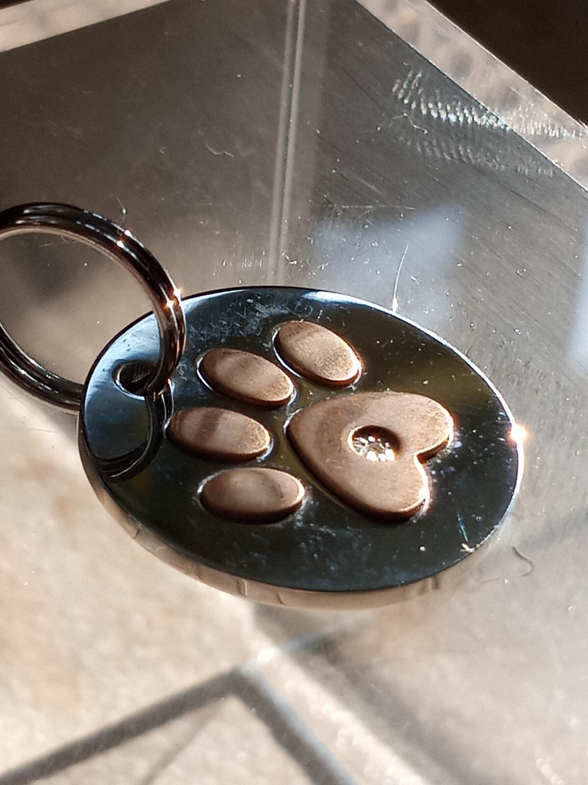 Dog Paw Print Tag Charm or Keychain