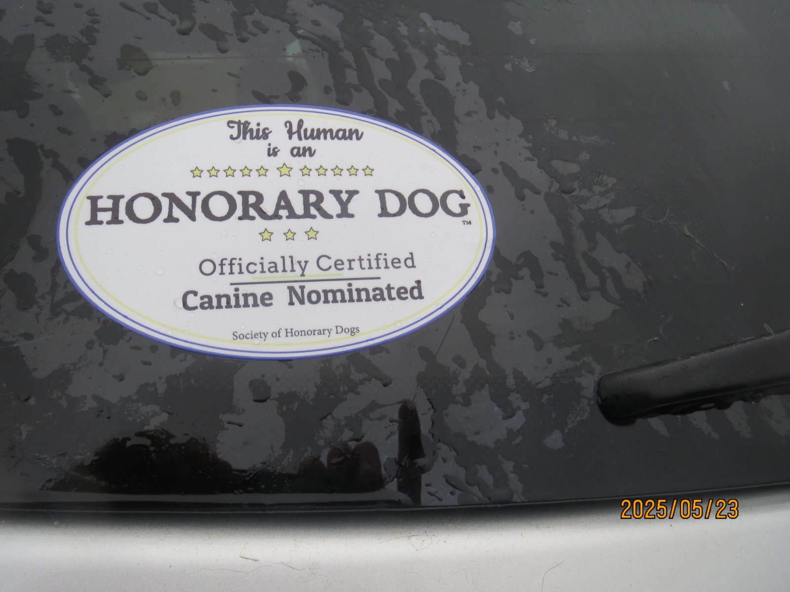 LOVE DOGS MORE THAN PEOPLE? Be an Honorary Dog. DOG-LOVER PIN w/ 6 FREE GIFTS