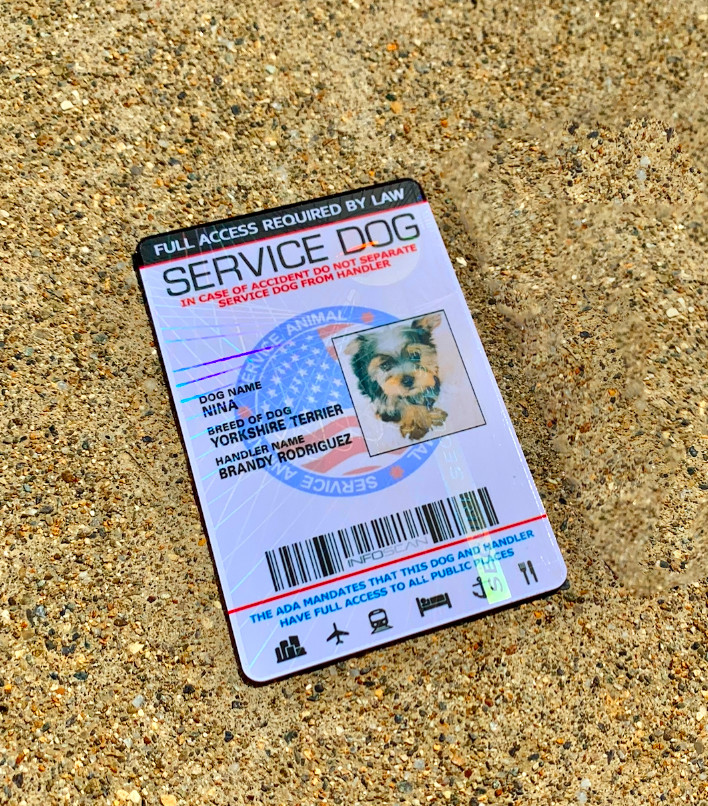 Service Dog ID Card Customized Holographic