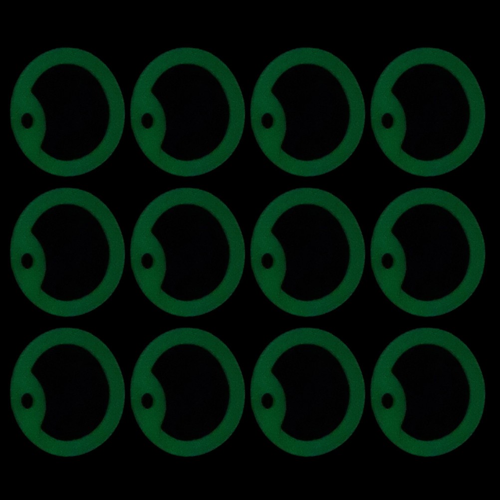 12 Pcs Glow-in-the-dark Pet ID Tag Encasement Dog Accessories Name Protector