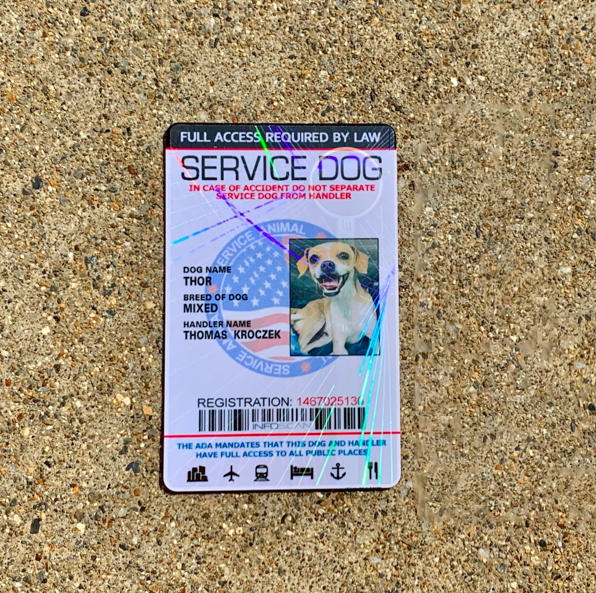 Service Dog ID Card Customized Holographic