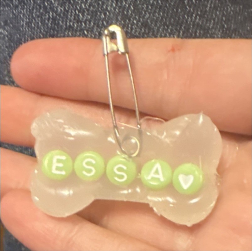 Personalized Clear Plastic Bone-Shaped Dog Collar Charm Name Beads “ESSA”