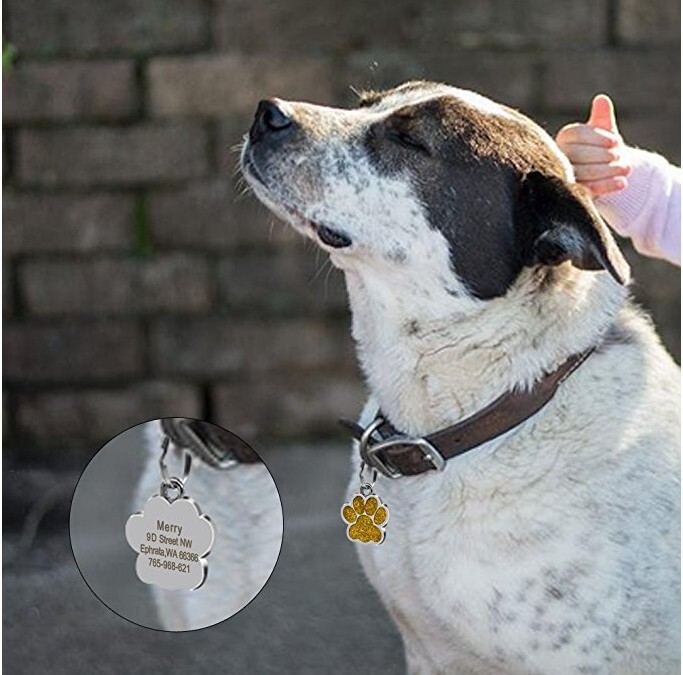 Pet ID Dog cat tag personalized engraving anti loss collar pendant double-sided