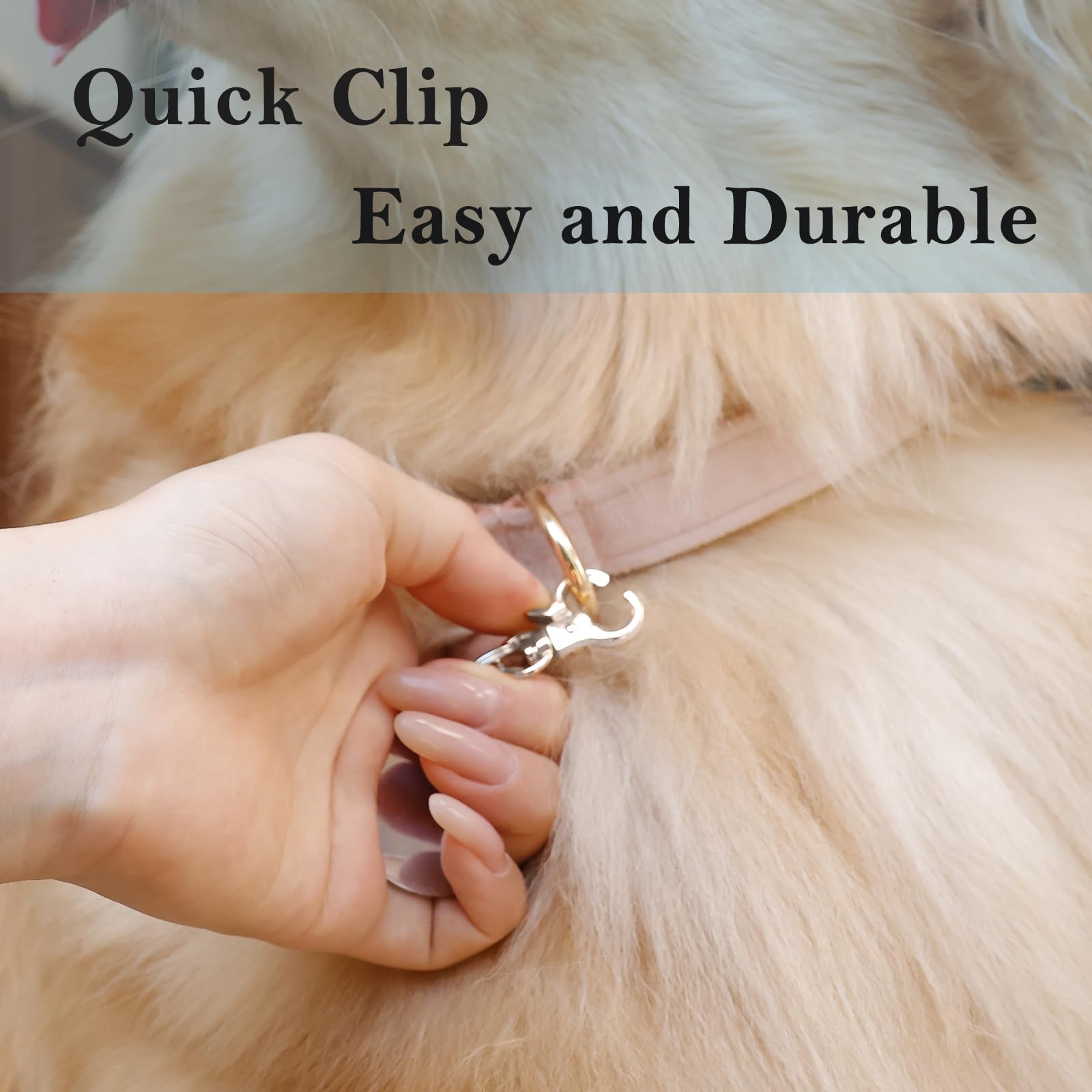 Dog Tag Clips 2 pack Easy Change for Pet Tag Quick Clips Small Medium Large D…