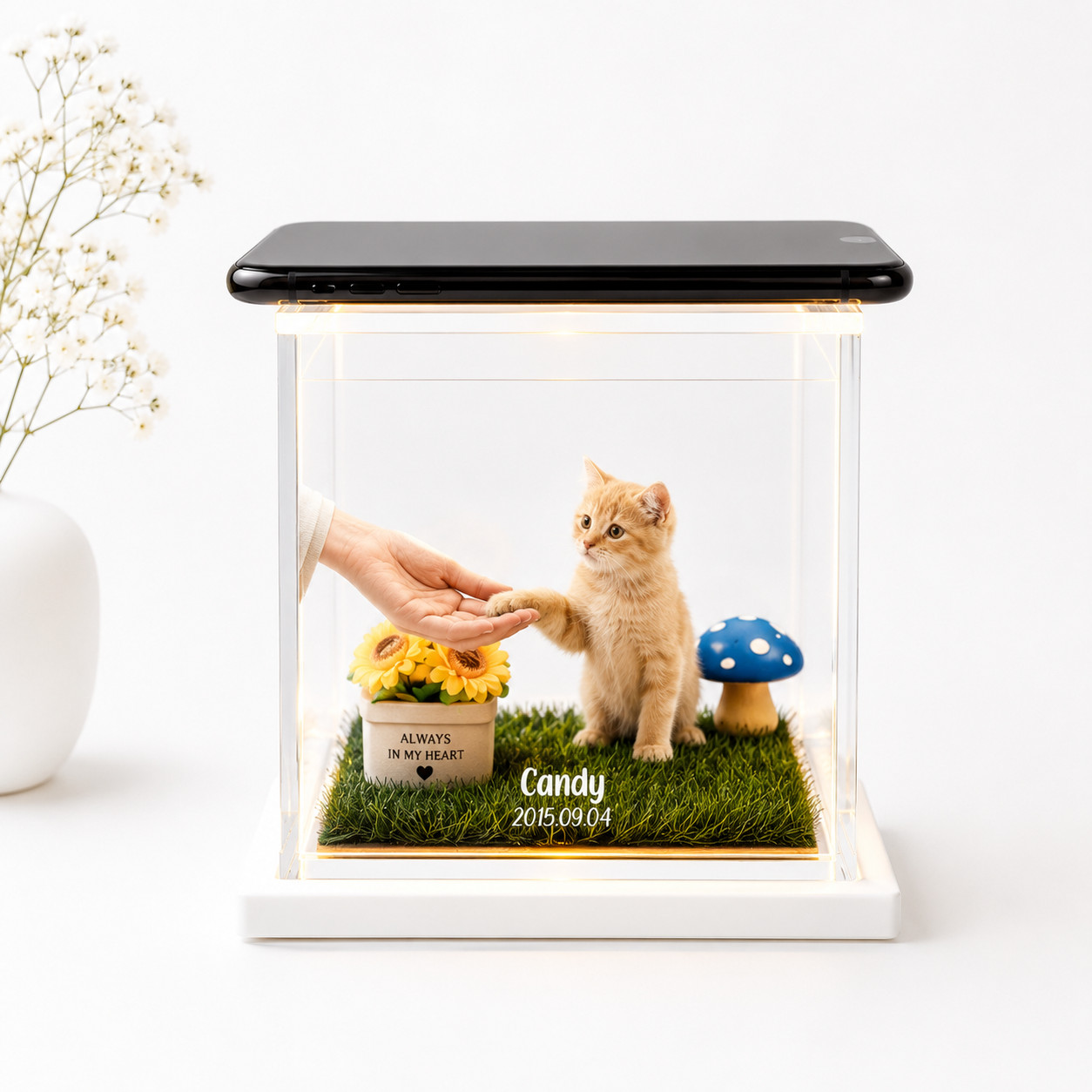 Pet Holographic Digital House | Pet Memorial Ornaments | Pet Lover Gift