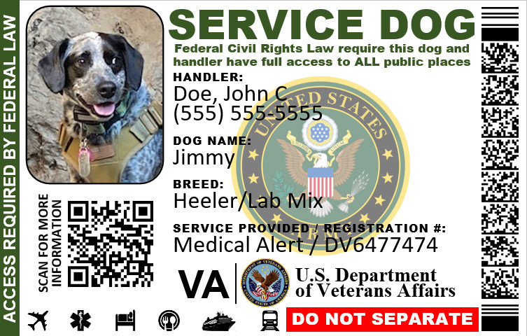 MILITARY VETERAN SERVICE DOG ID DUAL SIDES PHYSICAL & DIGITAL