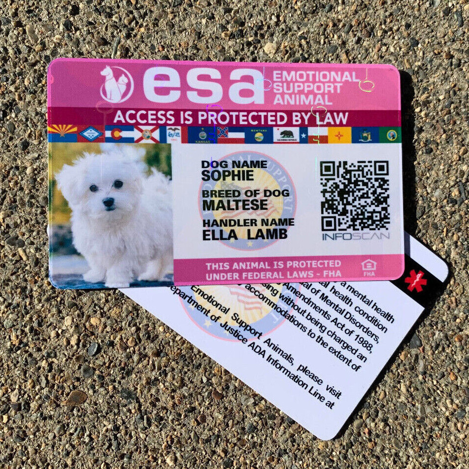 EMOTIONAL SUPPORT ANIMAL (ESA) ID BADGE SERVICE DOG ID CARD – PINK HOLOGRAPHIC