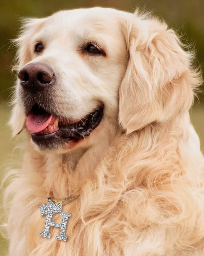 Initial Letter Charm Cuban Dog Cat Pet Puppy Silver Plated Collar Chain Necklace