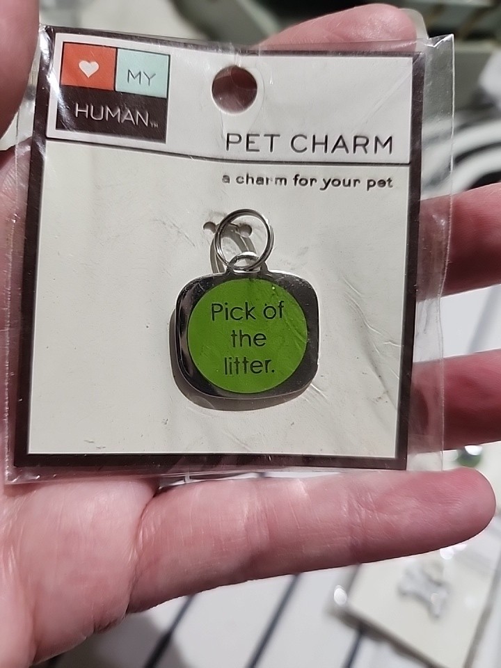 Pet Collar Charms I LOVE MY HUMAN Pet Charms