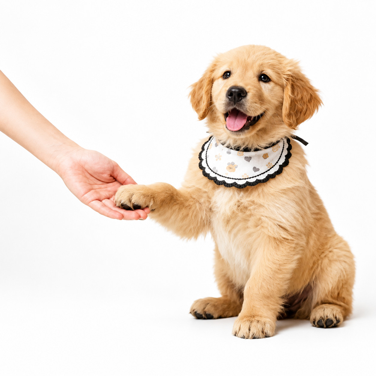 Pet Holographic Digital House | Pet Memorial Ornaments | Pet Lover Gift