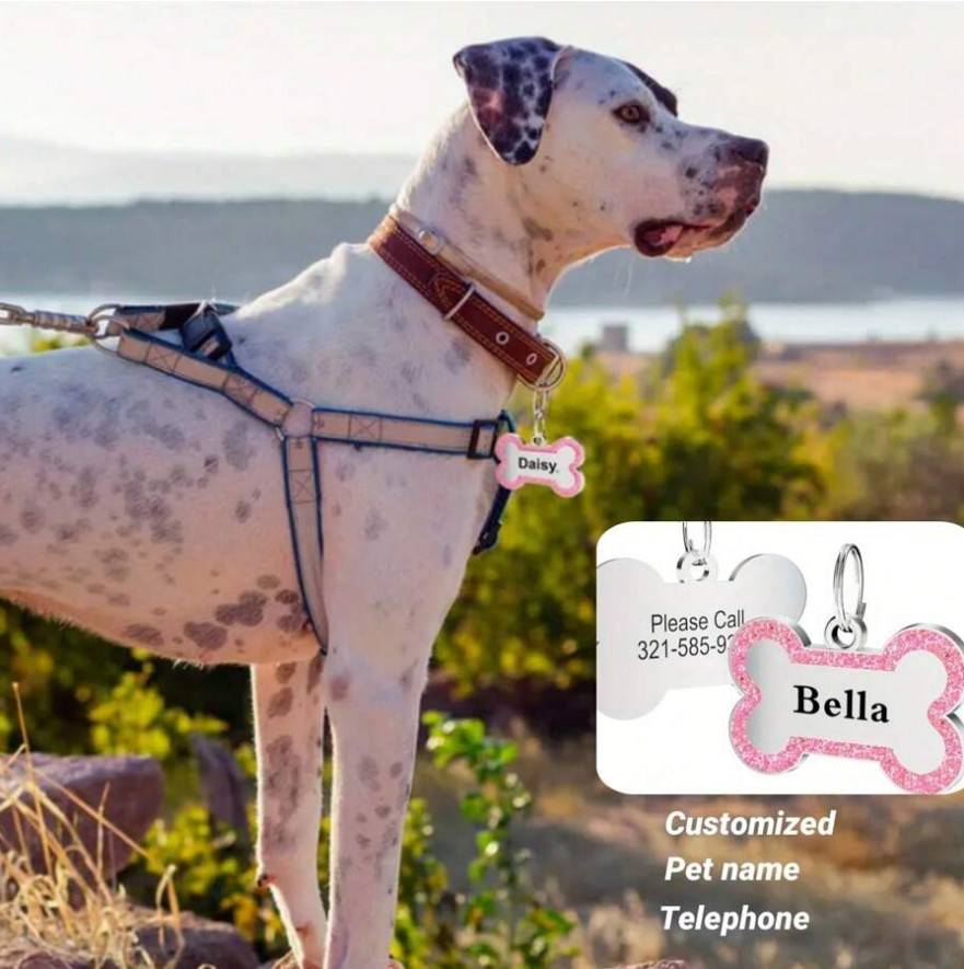 Bone Shape Custom Dog Tags Engraved Pendant Puppy Pet ID Tags Personalized Name