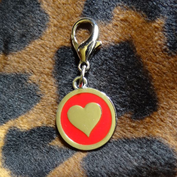 Dog Collar Charm by European Home Designs Metallic Customizable