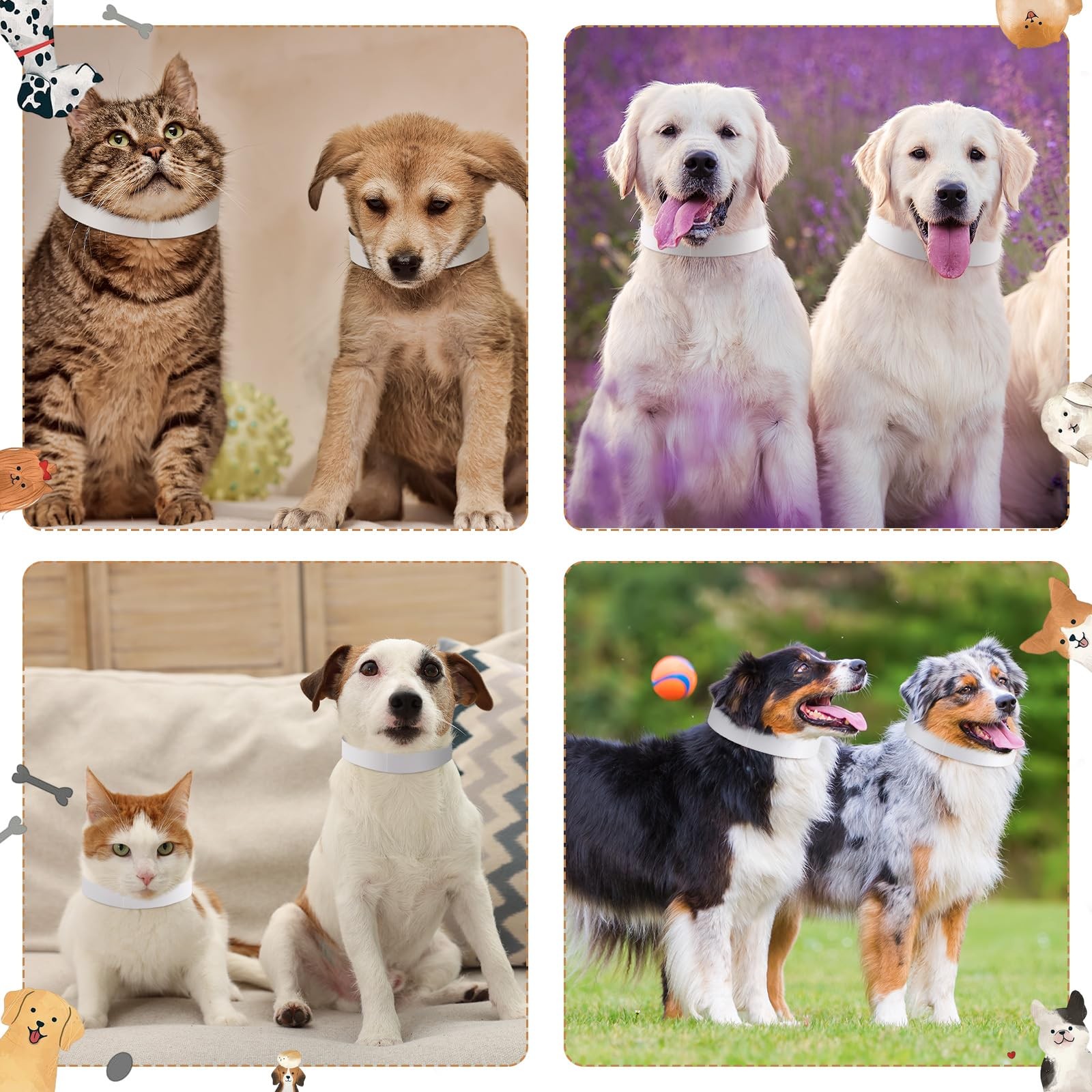 Clysee 500 Count 20inch Adjustable Paper Dog Collars with Tear Resistant Wate…
