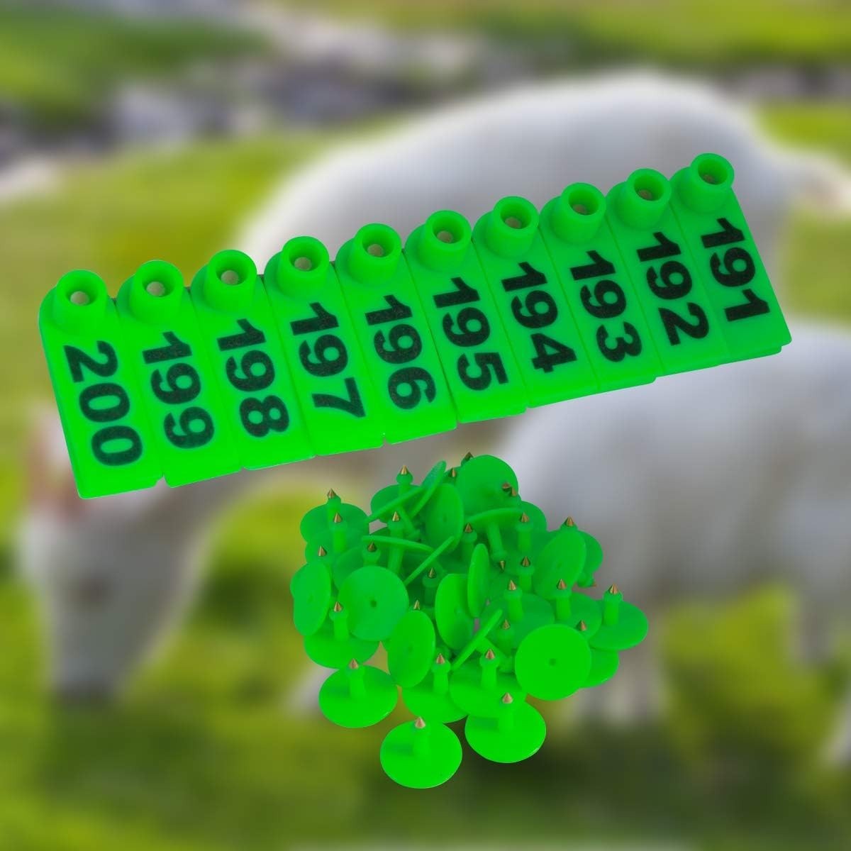 Animal Identification Made Easy – 200 Green Plastic Ear Tags for Small Livestock