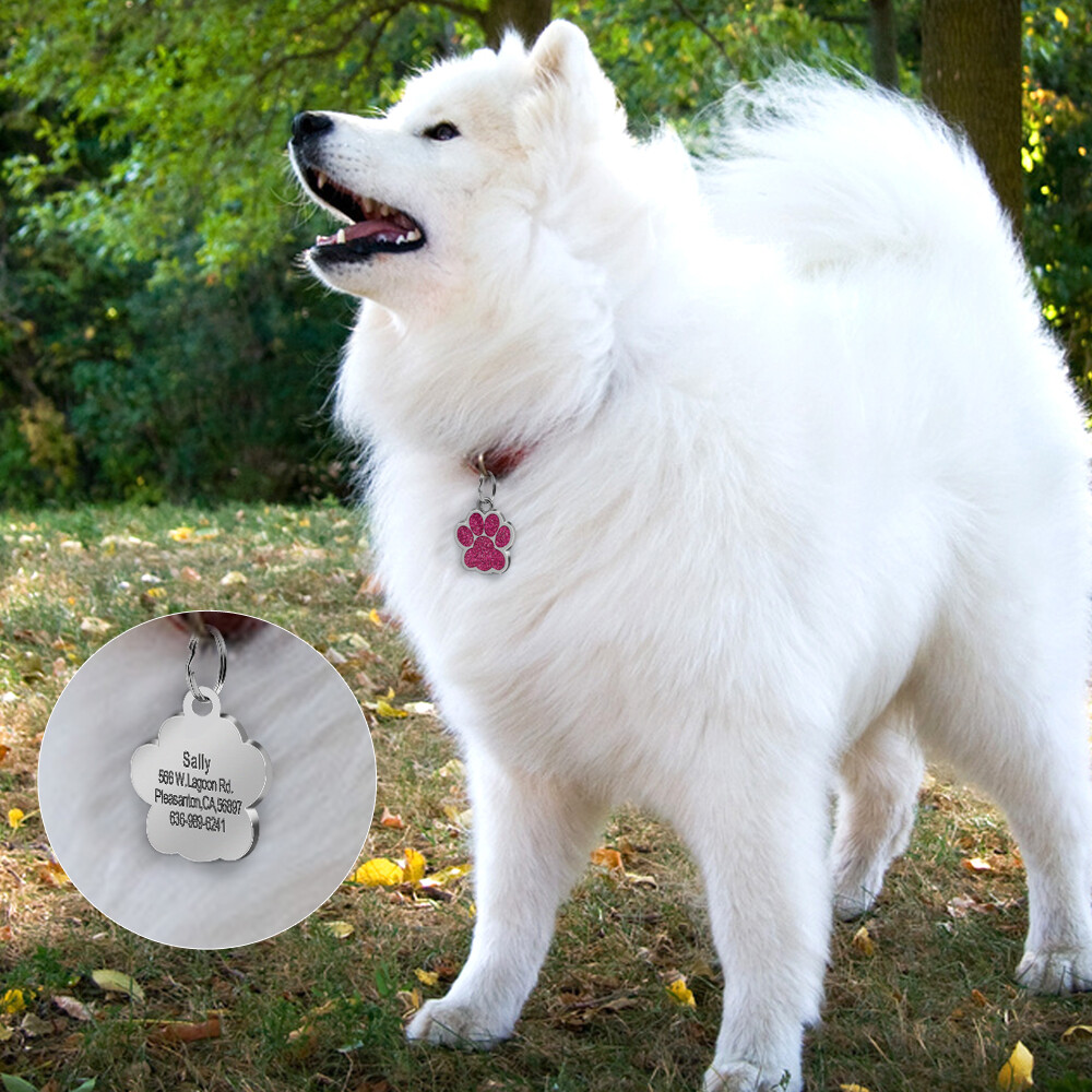 Glitter Paw Custom Dog Tags for Pets Engraved Pet Puppy Cat Name ID Collar Tags