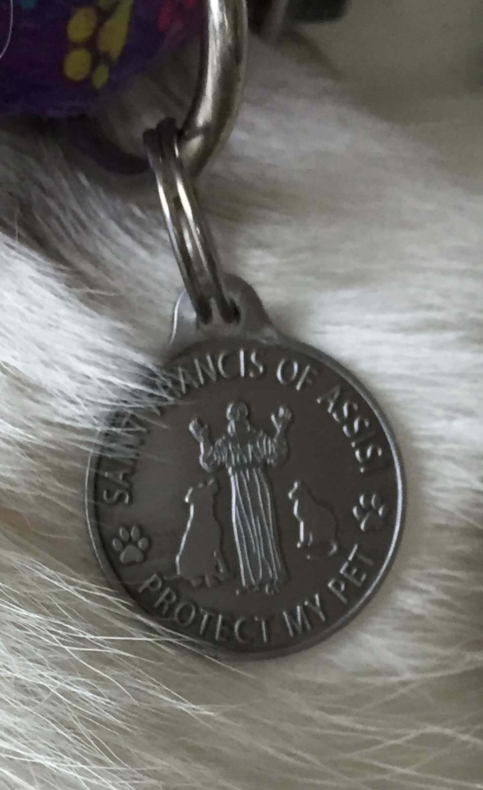 Saint Francis Protect My Pet Patron Saint Of Pets Dog Tag 1″ Charm Pewter Color