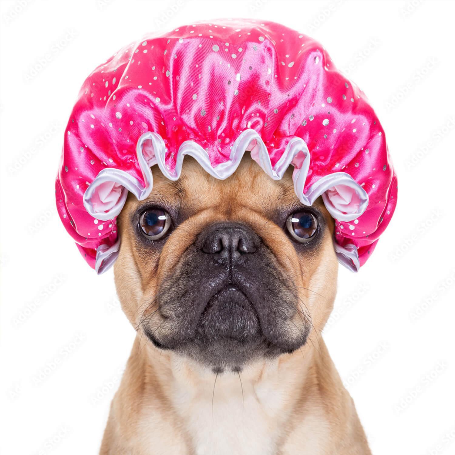 Natural Dog’s Shampoo Bar – With Oats & Shea Butter