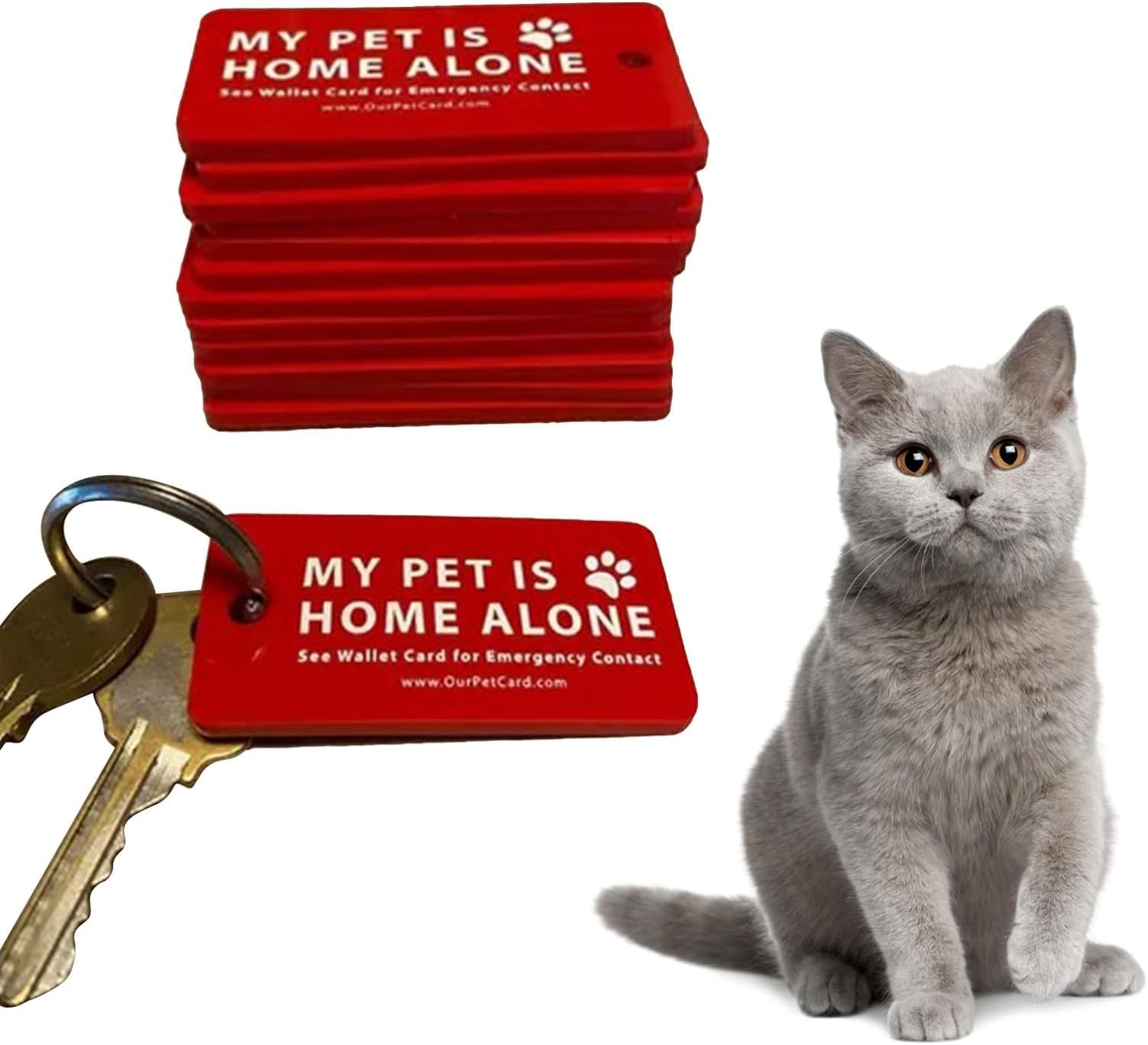 Dog Cat are Home Alone Alert Key Tags Pet Keychain Alert Keychain Dog Tag and…