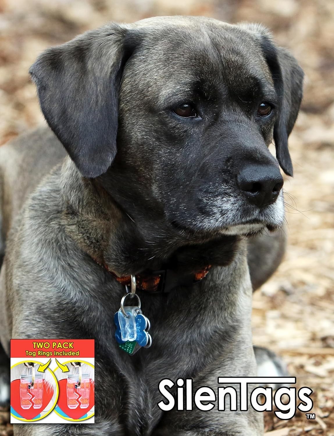 Pet Tag Silencer Clear Two Pack