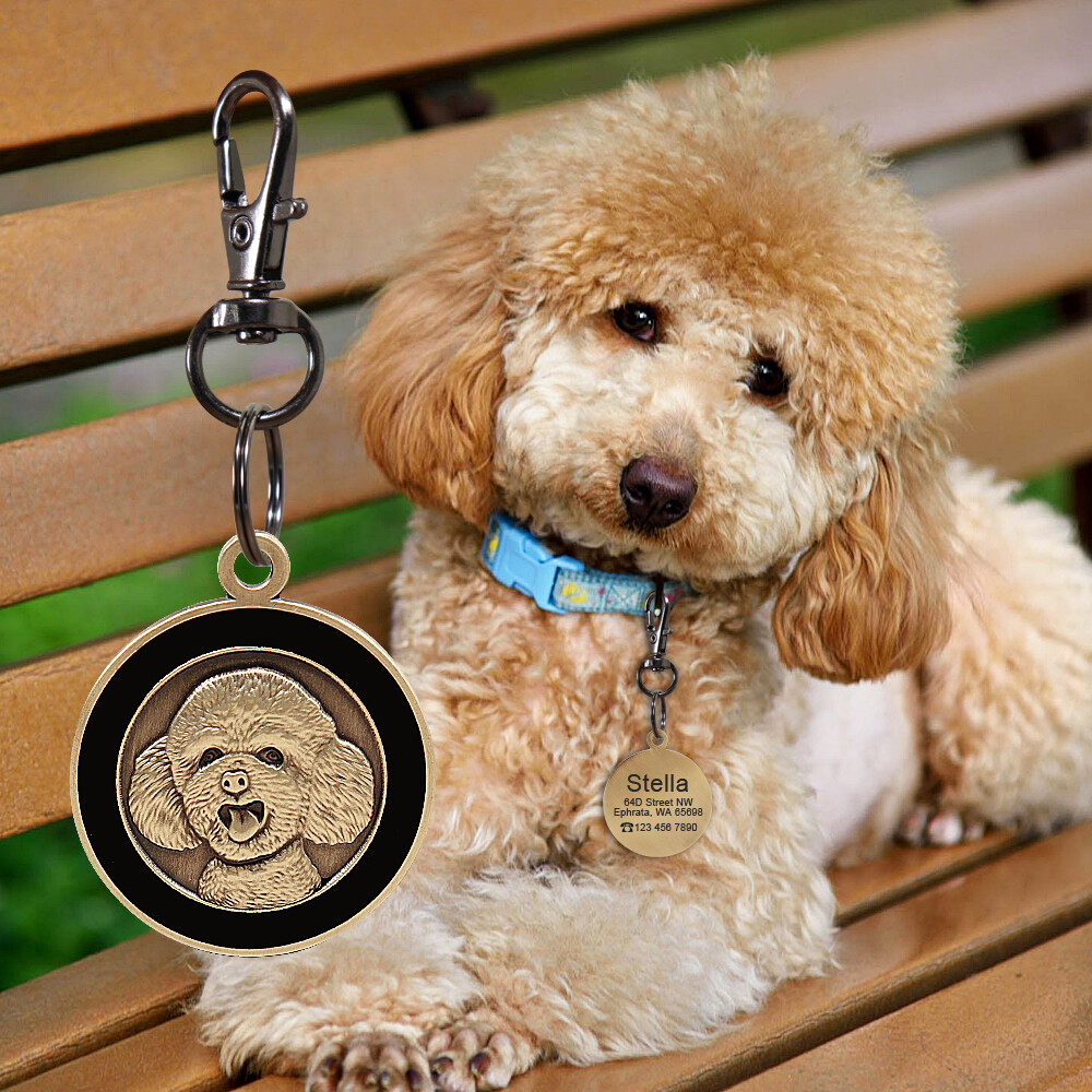 Customized 3D Brass Dog Tags Personalized Pet Puppy ID Name Number Engraved Free
