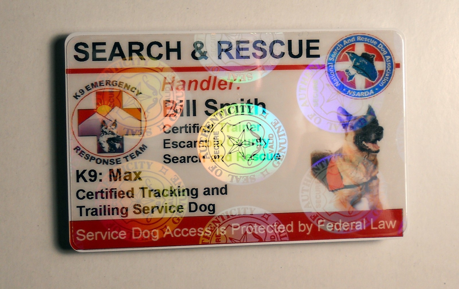 HOLOGRAPHIC SEARCH AND RESCUE SERVICE DOG ID BADGE CUSTOM CARD WORKING DOG 25