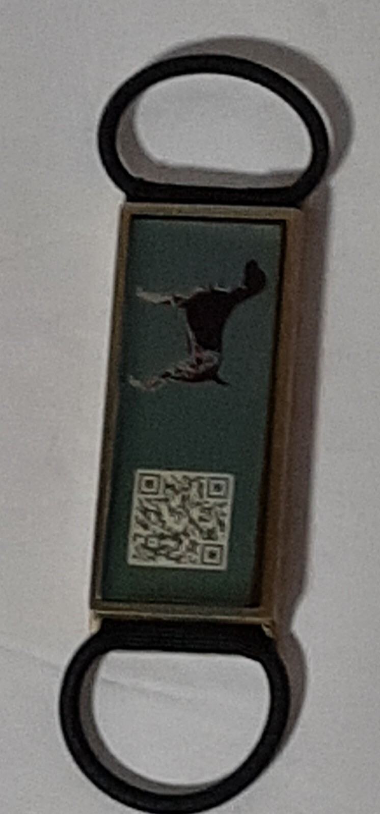DISONTAG QR Code Dog Tags Personalized for Pets German Short-haired Pointer NEW