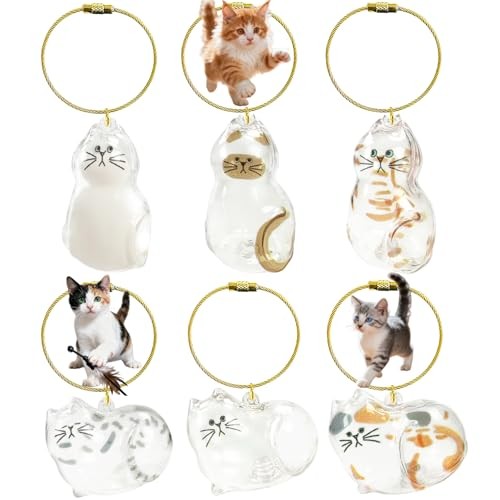 6PCS Cat Fur Keepsake Storage Bottle Pet Memorial Keychain