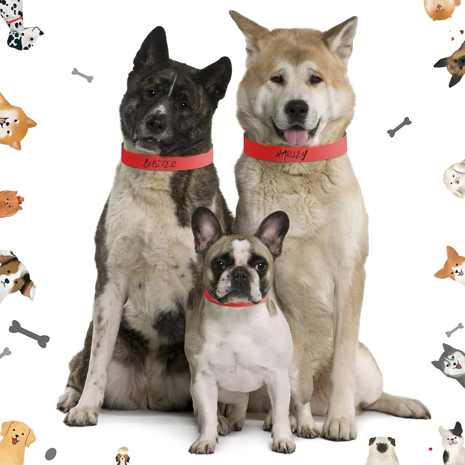 500 Count 20inch Adjustable Paper Dog Collars with Tear Resistant Waterproof …