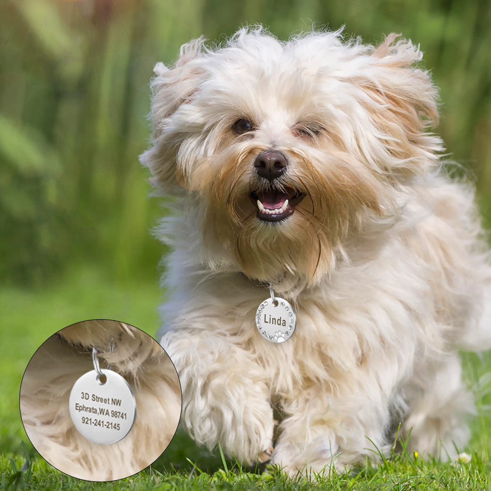 Dog Tags Personalized ID Name Engraved Pet Cat Dog Bling Rhinestone Cute Paw Tag