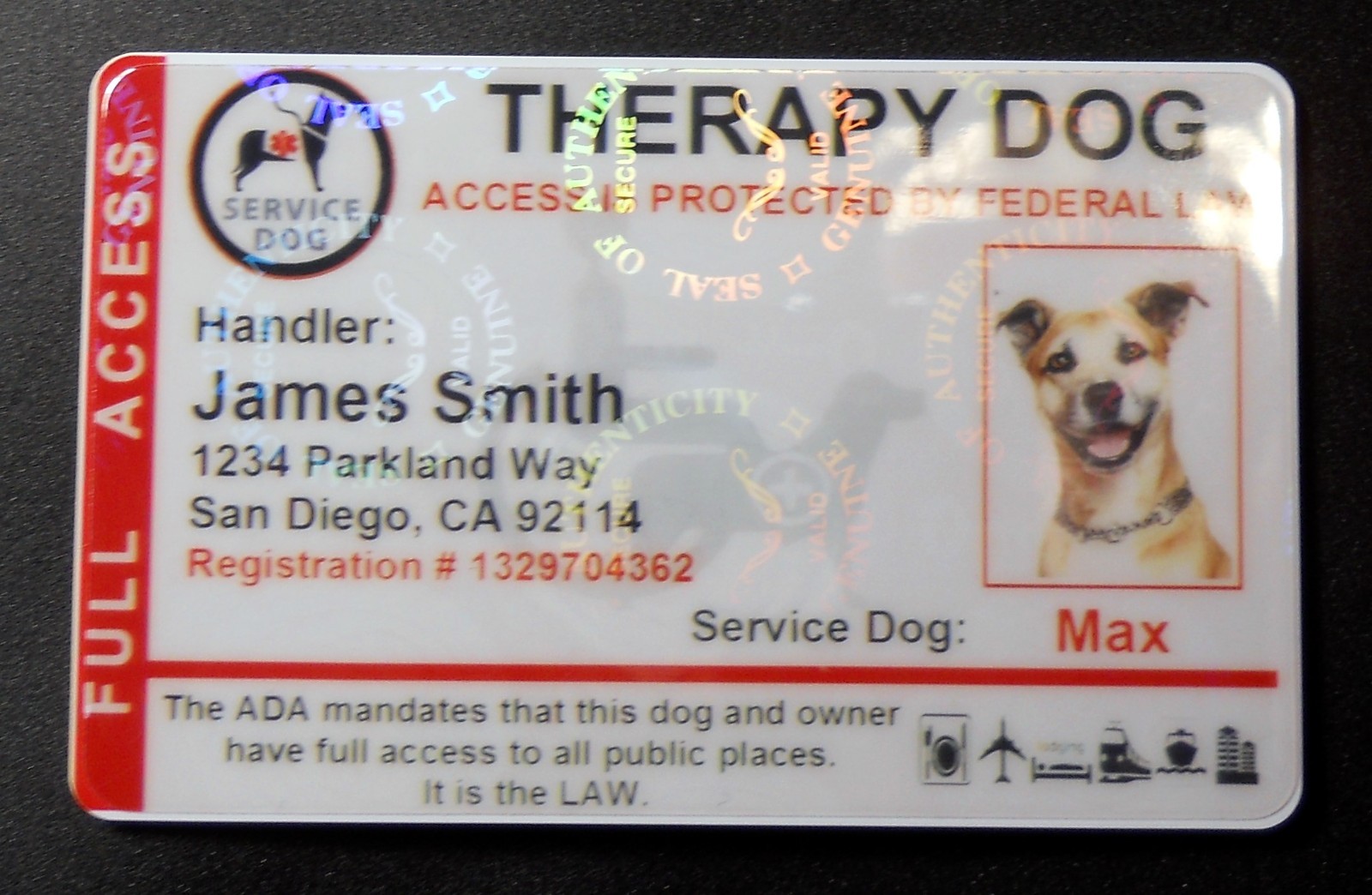 HOLOGRAPHIC THERAPY SUPPORT DOG ID CARD FOR SERVICE DOG ADA RATED 8THR R