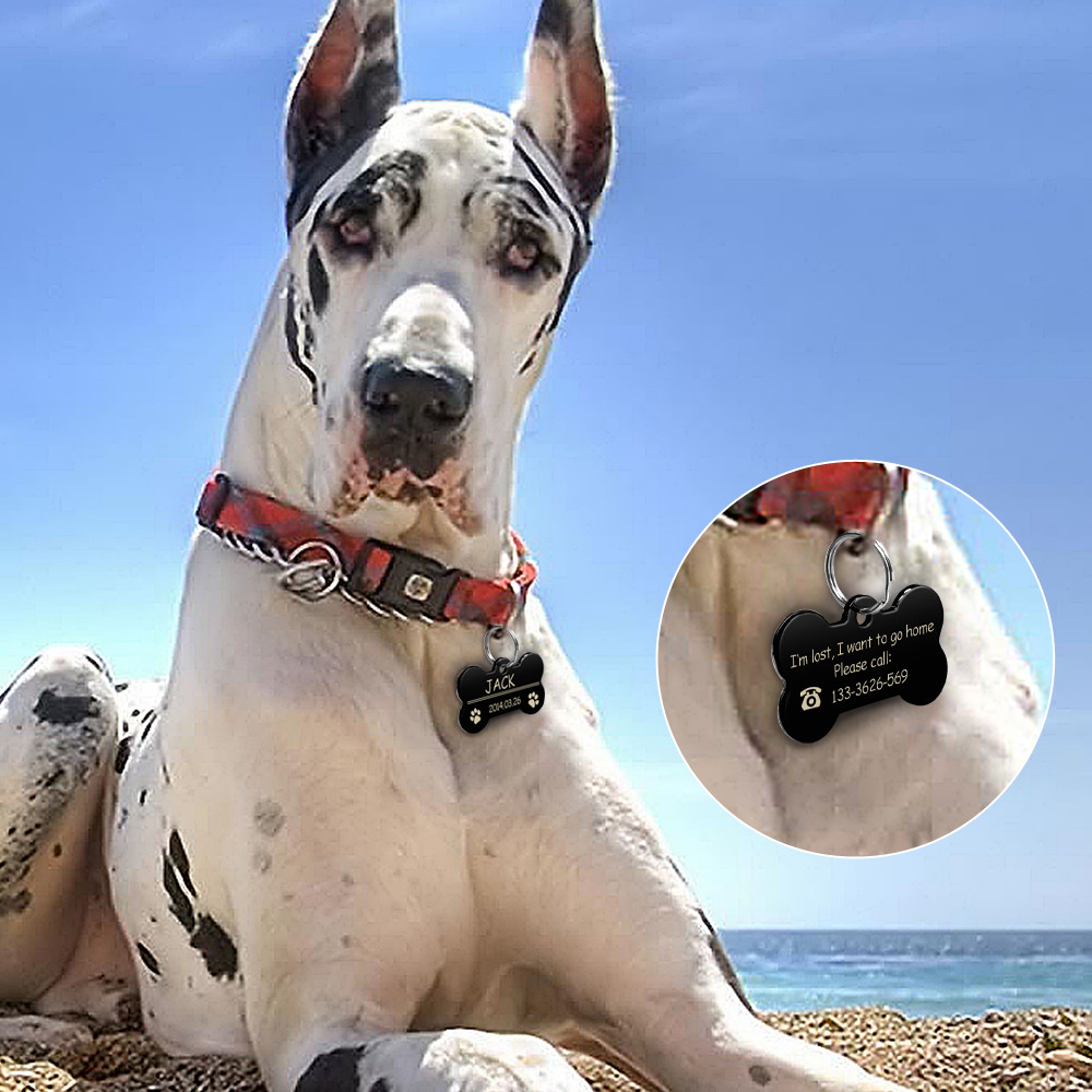 Bone Shape Dog Tags Personalized Engraved Pet Puppy ID Name Tag with 4 Colors