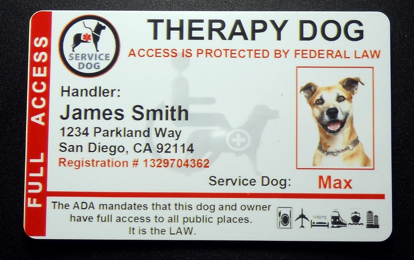 HOLOGRAPHIC THERAPY SUPPORT DOG ID CARD FOR SERVICE DOG ADA RATED 8THR R