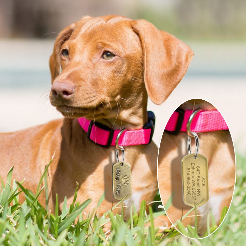 Military Dog Tags Customizable Name ID Collar Tag Engraved Personalized Necklace