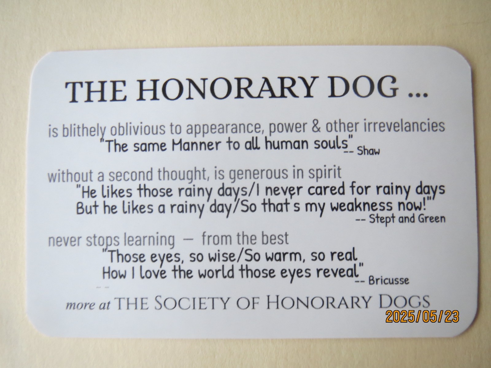 LOVE DOGS MORE THAN PEOPLE? Be an Honorary Dog. DOG-LOVER PIN w/ 6 FREE GIFTS