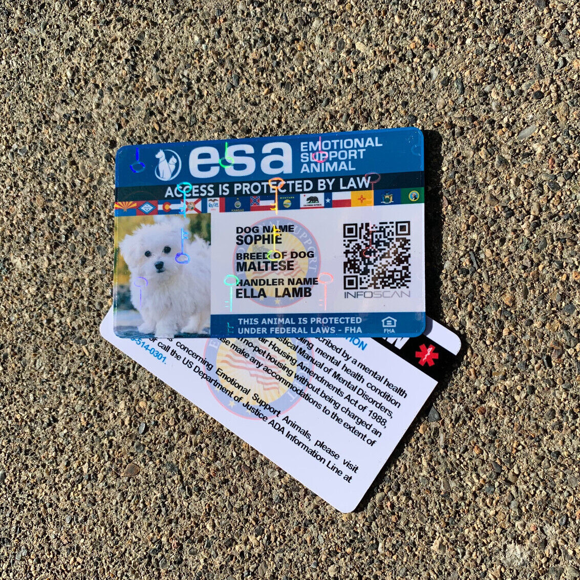 ESA ID CARD EMOTIONAL SUPPORT REGISTRATION EMOTIONAL SUPPORT ANIMAL HOLOGRAPHIC