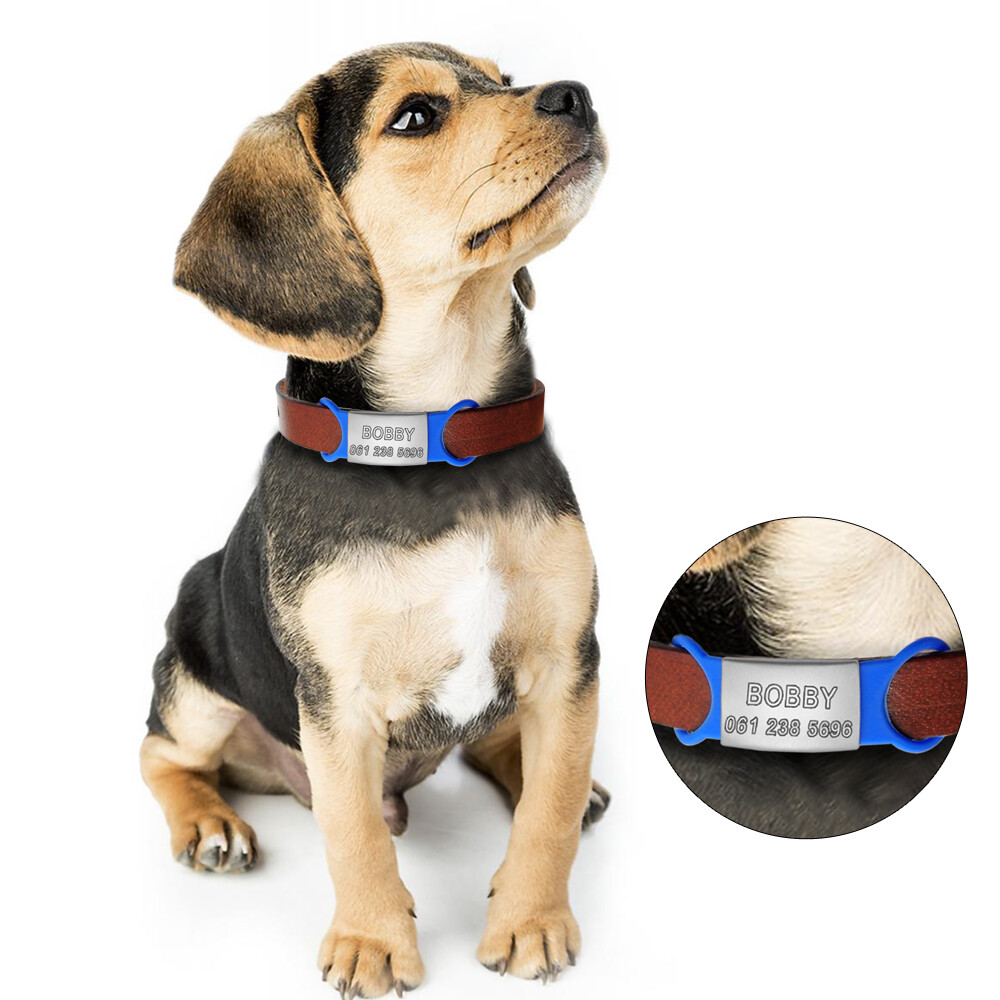 Personalized Slide-On No Noise Dog ID Tags Stainless Steel Cat Collar Tag Disc